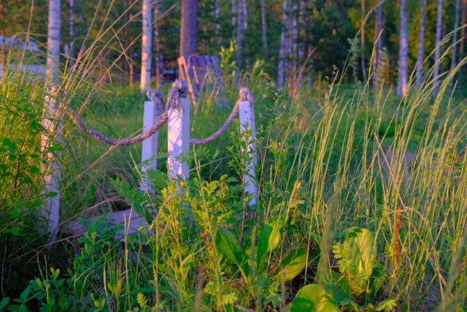 nature at camping Ruokoniemi