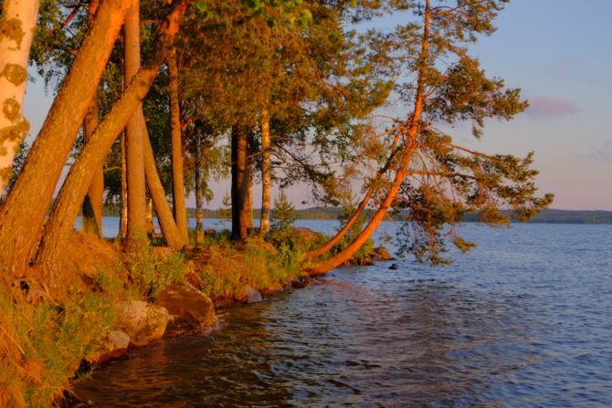 nature at camping Ruokoniemi