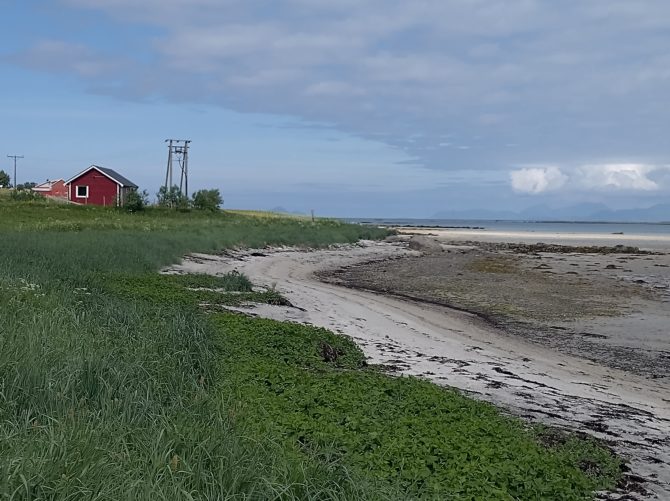 Lofoten nature